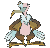 condor ali.gif
